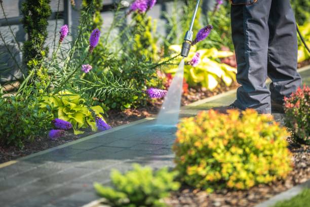 Best Dumpster Area Cleaning  in Ruckersville, VA
